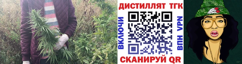 купить наркоту  Старая Купавна  ТГК жижа 