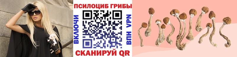 наркотики  МЕГА рабочий сайт  Галлюциногенные грибы мухоморы  Старая Купавна 